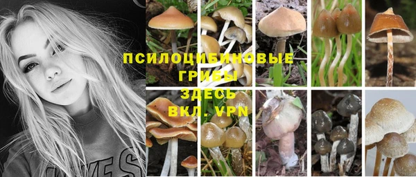 спайс Алексин
