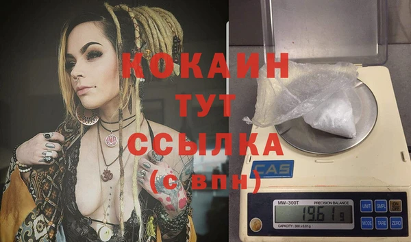 прущий лед Алзамай