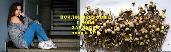 спиды Алексеевка