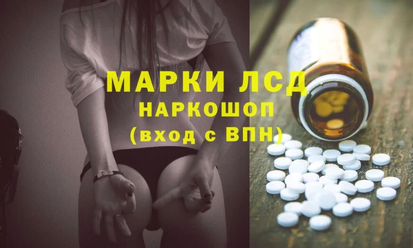 прущий лед Алзамай