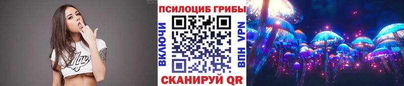 blacksprut tor  Петушки  Галлюциногенные грибы Psilocybe  где найти наркотики 
